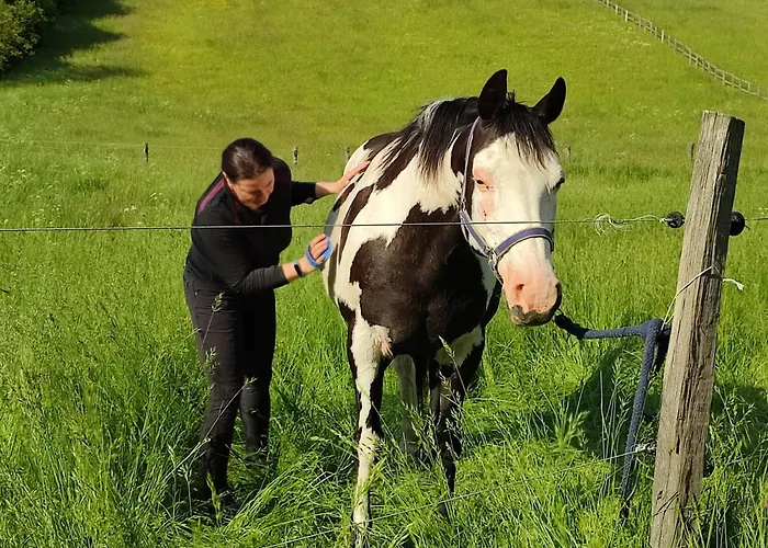 Appartamento Stodola Svatý štěpán